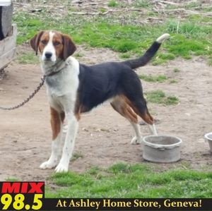 Meet your Posher, Tammy